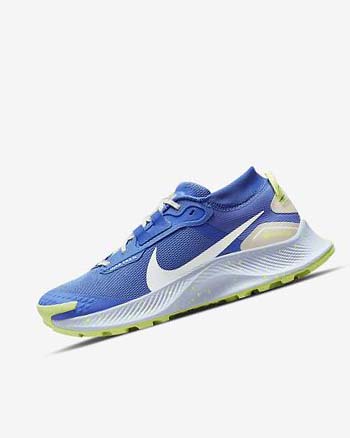 Blue / Brown / Grey Women's Nike Pegasus Trail 3 GORE-TEX Waterproof Trail Running Shoes | CA4924