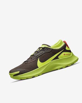 Dark Chocolate / Light Red Men's Nike Pegasus Trail 3 GORE-TEX Trail Running Shoes | CA2838