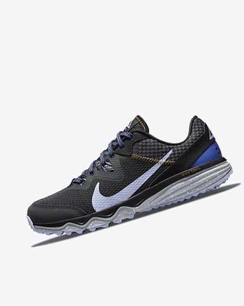 Dark Grey / Black / Light Women's Nike Juniper Trail Trail Running Shoes | CA2540