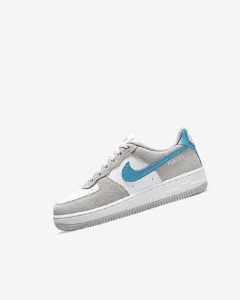 Light Grey / White / Light Grey Boy Nike Force 1 LV8 Shoes | CA5410