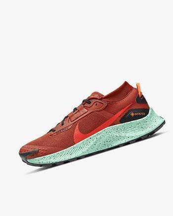 Orange / Black / Orange / Red Men's Nike Pegasus Trail 3 GORE-TEX Waterproof Trail Running Shoes | CA2930
