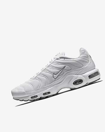 White / Black / Grey / White Men's Nike Air Max Plus Sneakers | CA2658